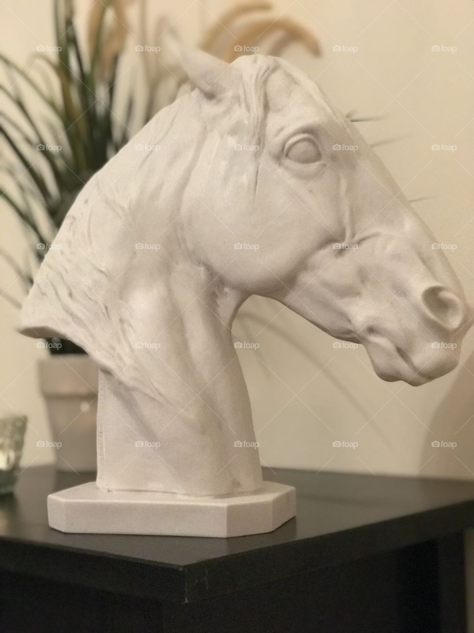 Marble horse head