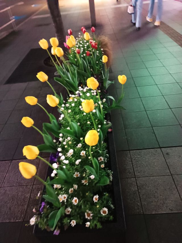 Colors of Spring