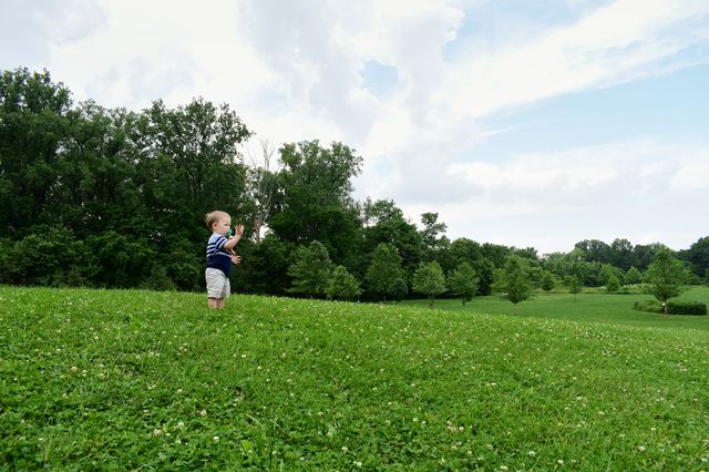 Cute baby boy in nature park