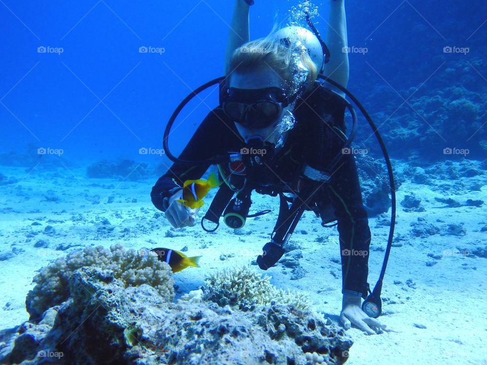 Diving at Red Sea. Finding Nemo.