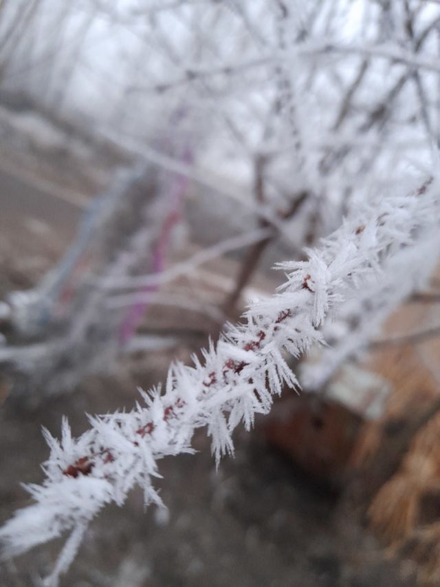 winter