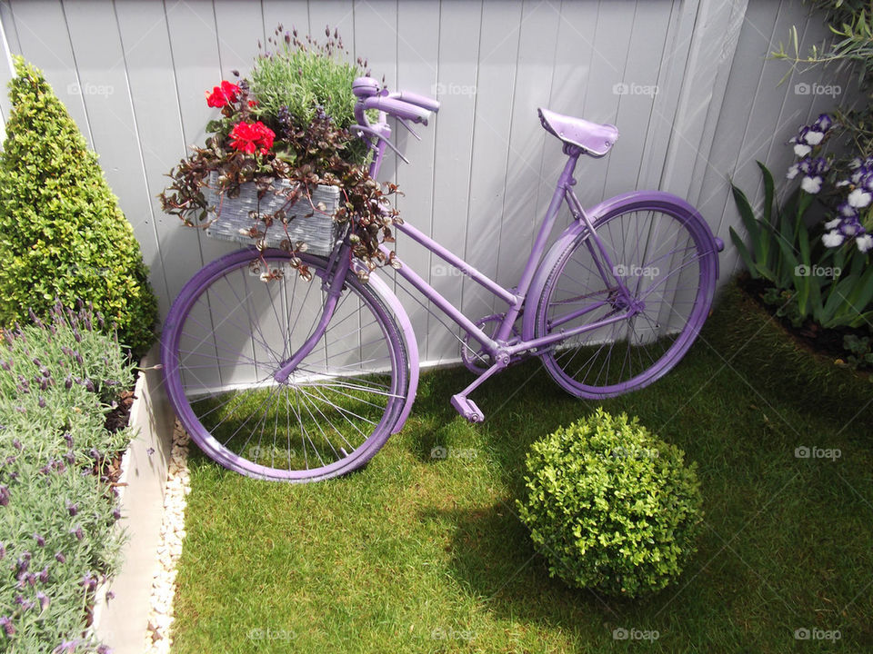 I want to ride my bicycle, I want to ride it when I like!