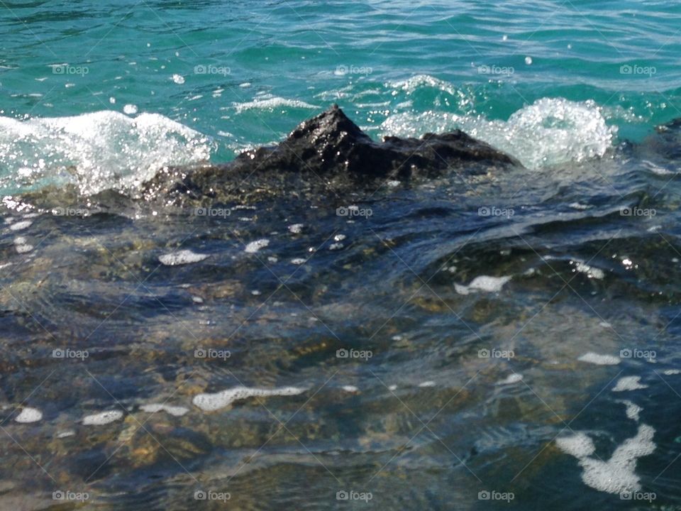 Bermudaful Water