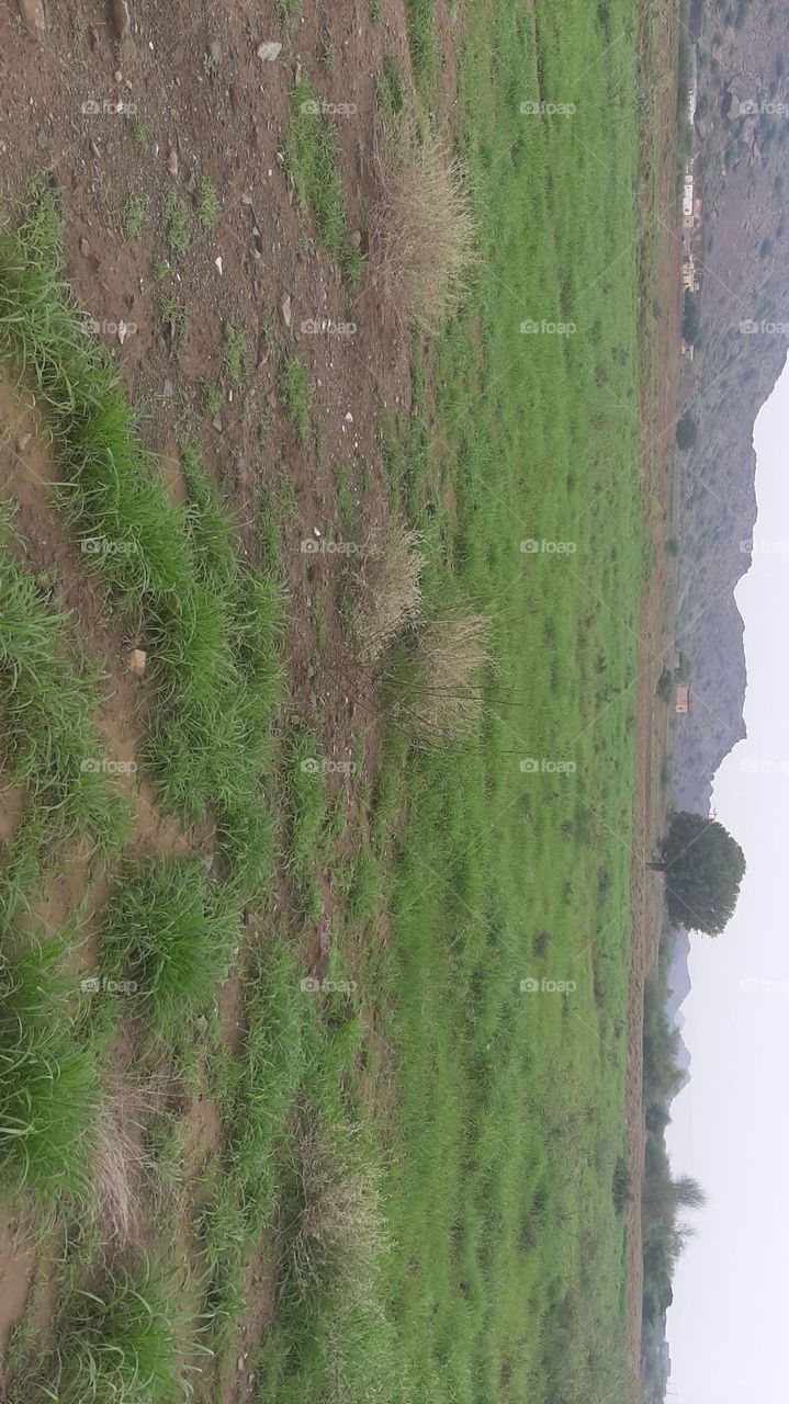 i am poor and need dollars, I have family conditions