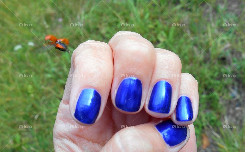 nand blue nail and ladybug flying