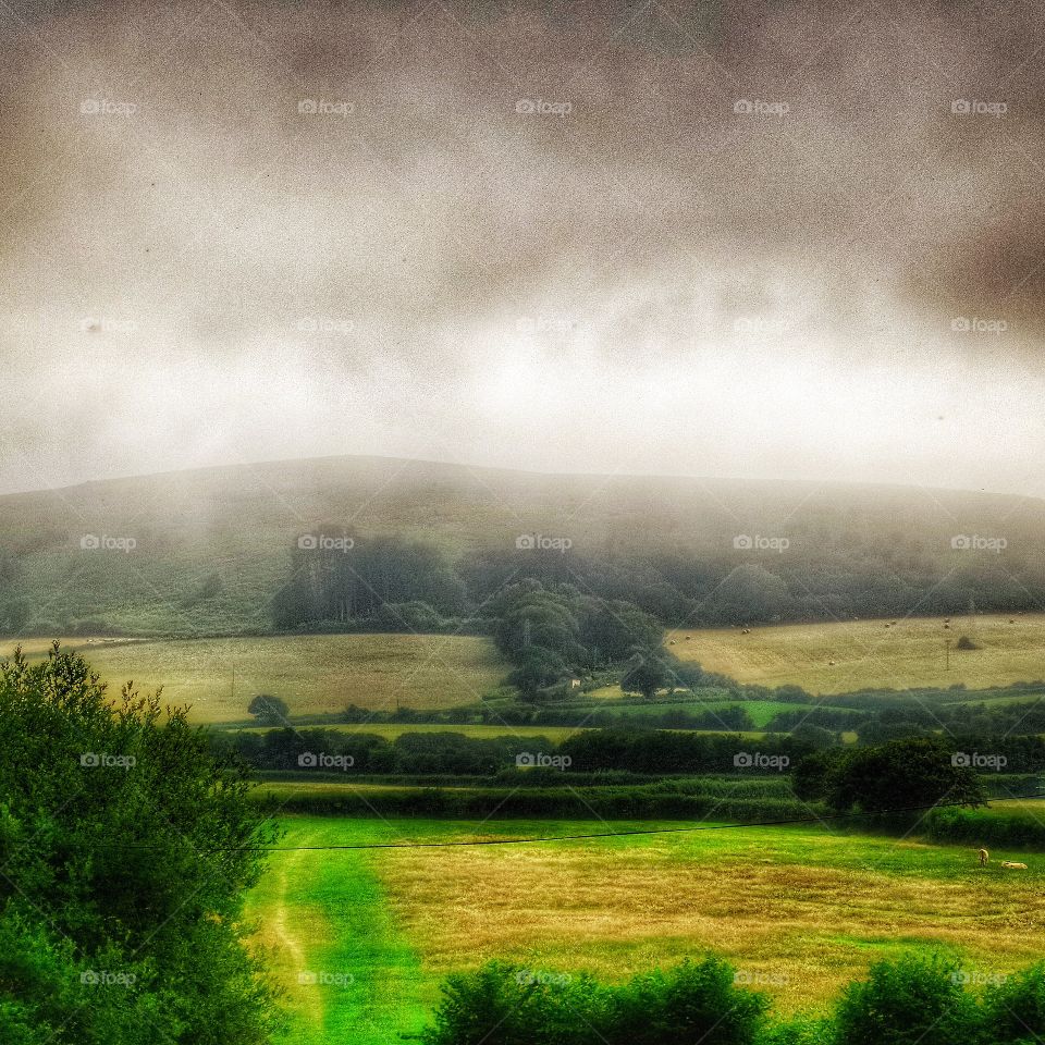 Landscape. Rural landscape 