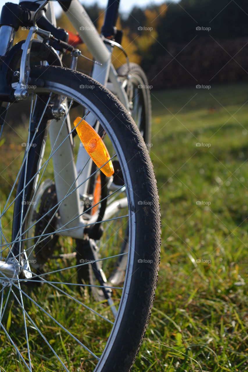 bike on a green grass in the sunlight background