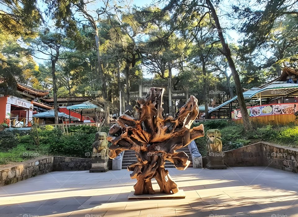 large tree roots monument in the forest