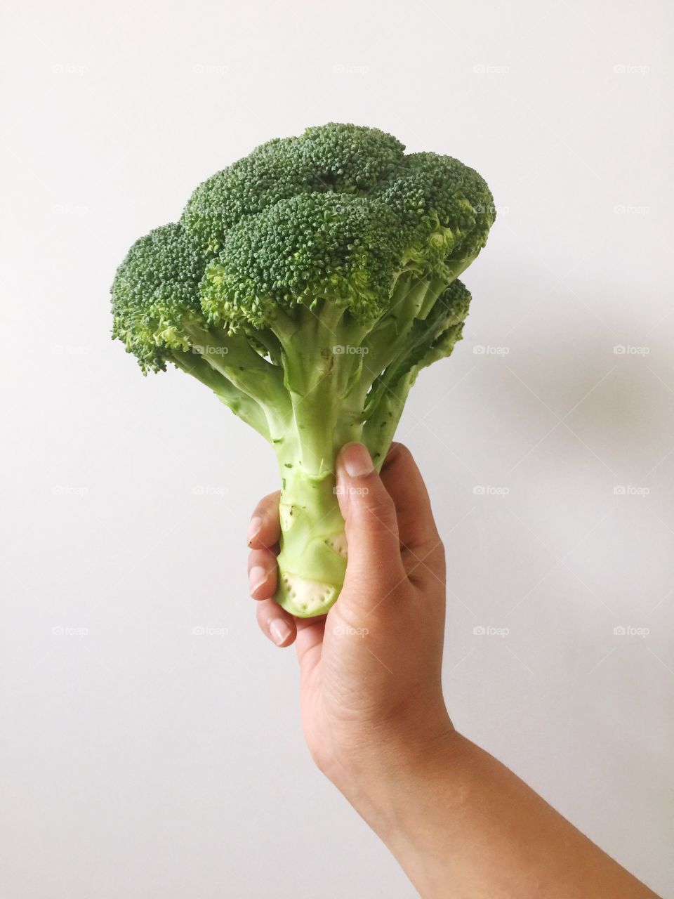 Hand holding a fresh broccoli on white background