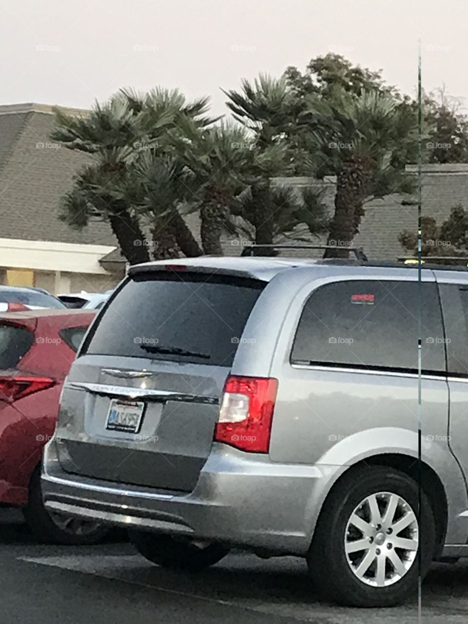 Mini-palm trees behind the parked vehicles. An intriguing sight they are.