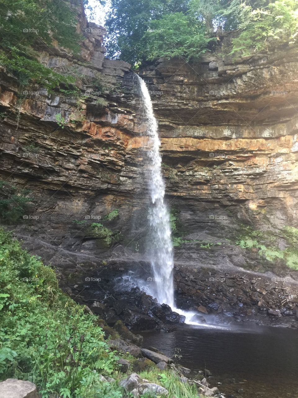 Hardraw force 