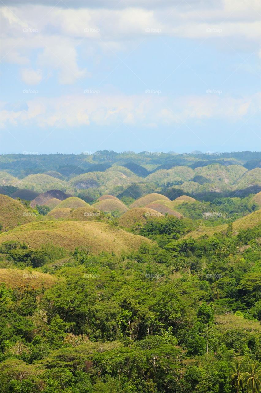 Chocolate hills