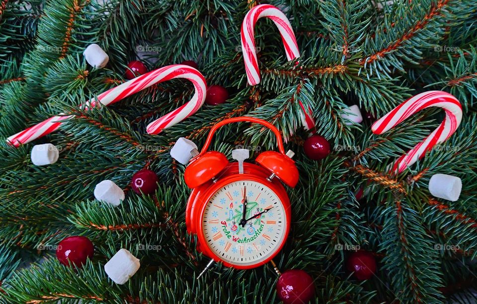 Winter colours ❄️🎀 Holiday season ❄️🎀