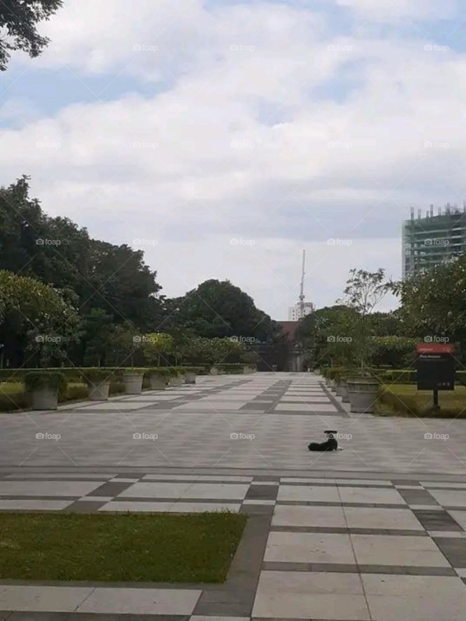 A most beautiful and attractive view.