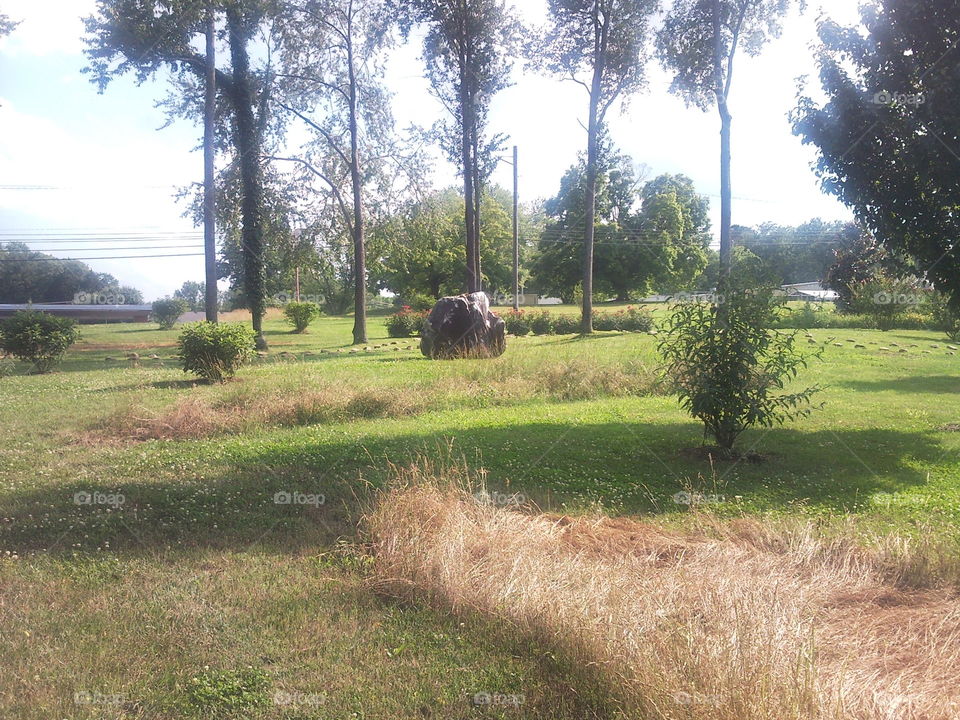 garden to walk in for pictures