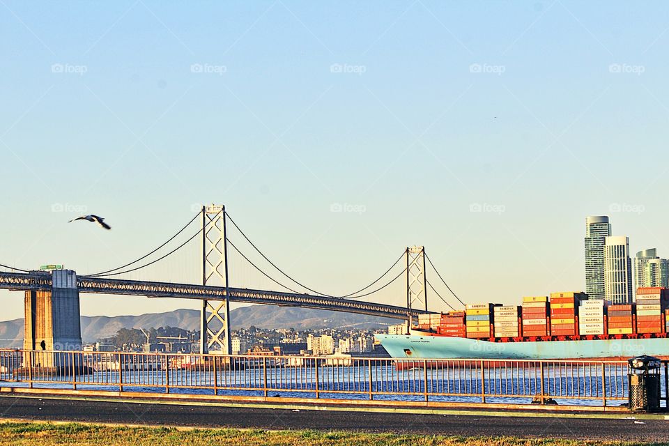 flying transportation