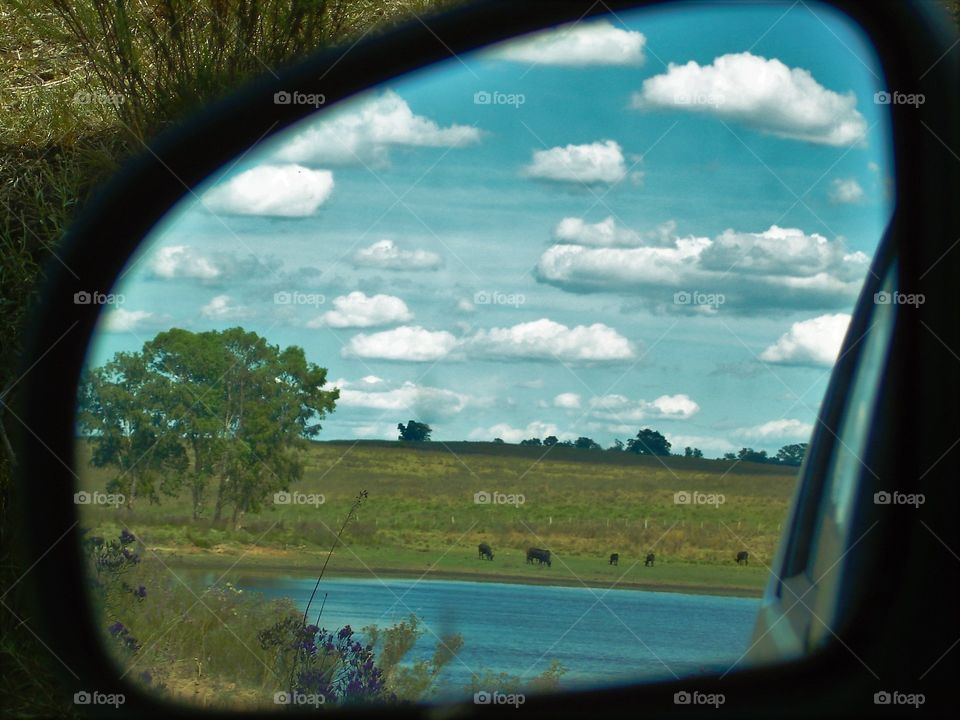 The car mirror reflecting the road trip through the farm. / O espelho da carro refletindo a viagem de carro pela fazenda.