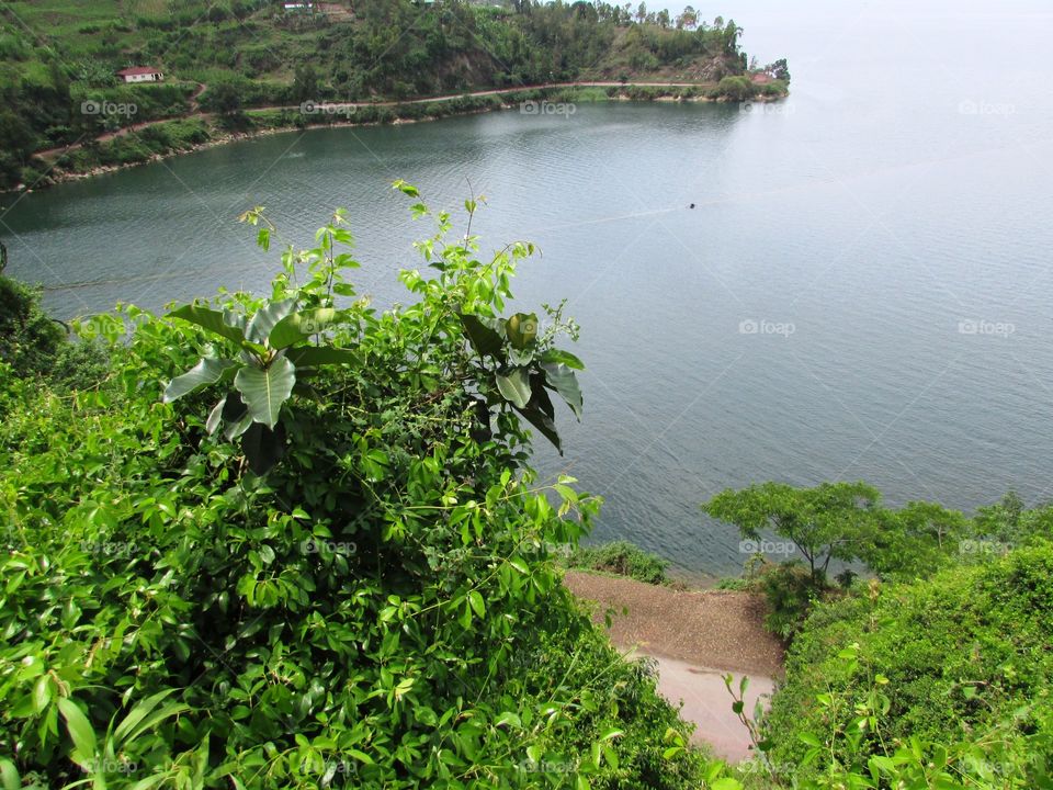 fine landscape on lake Kivu shores