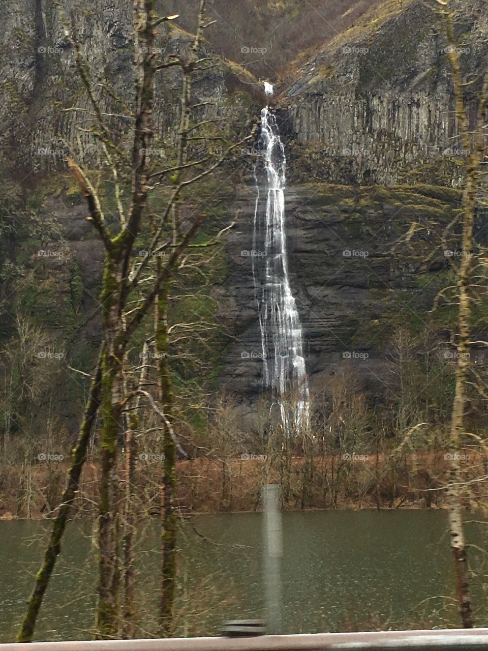 Waterfall near Corvallis, Oregon. I loved it so much!