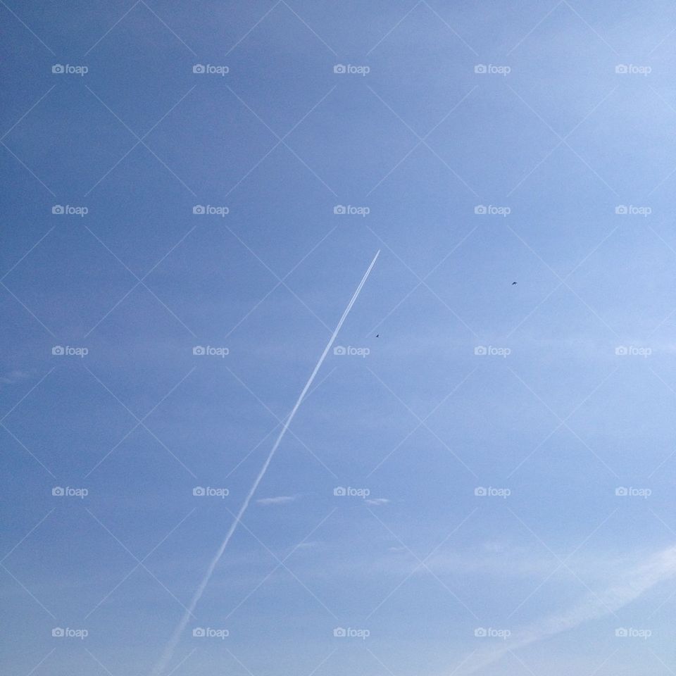 contrail