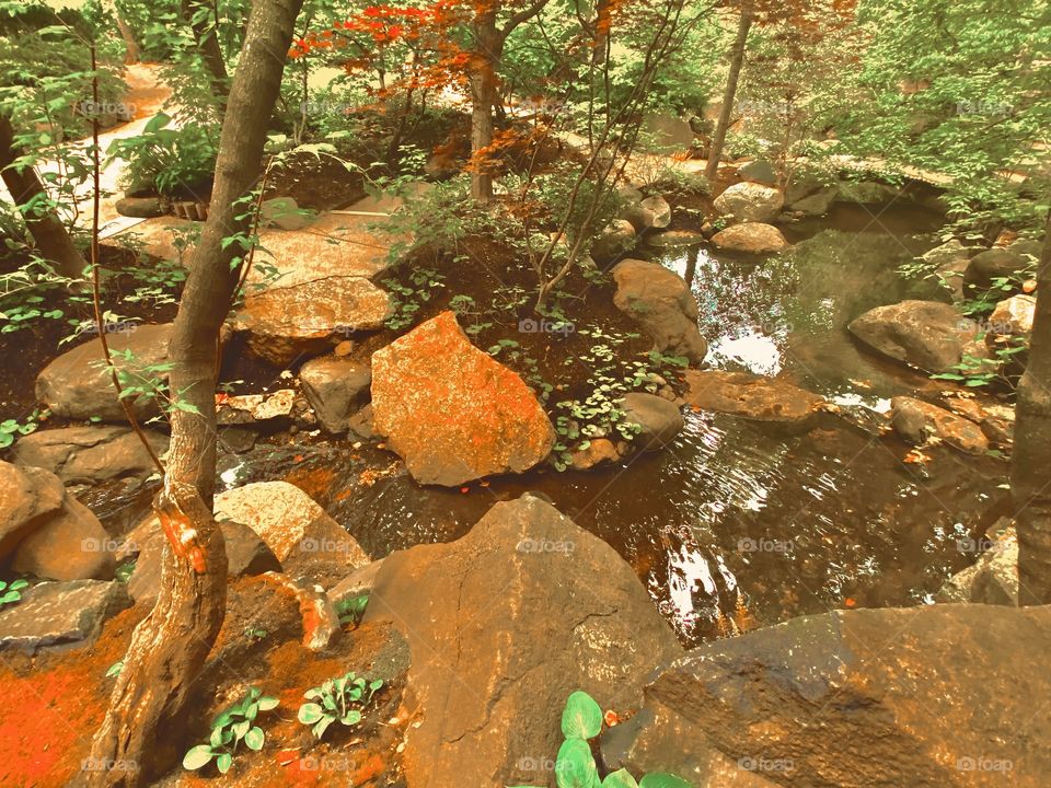 tranquil streams and luscious gardens 