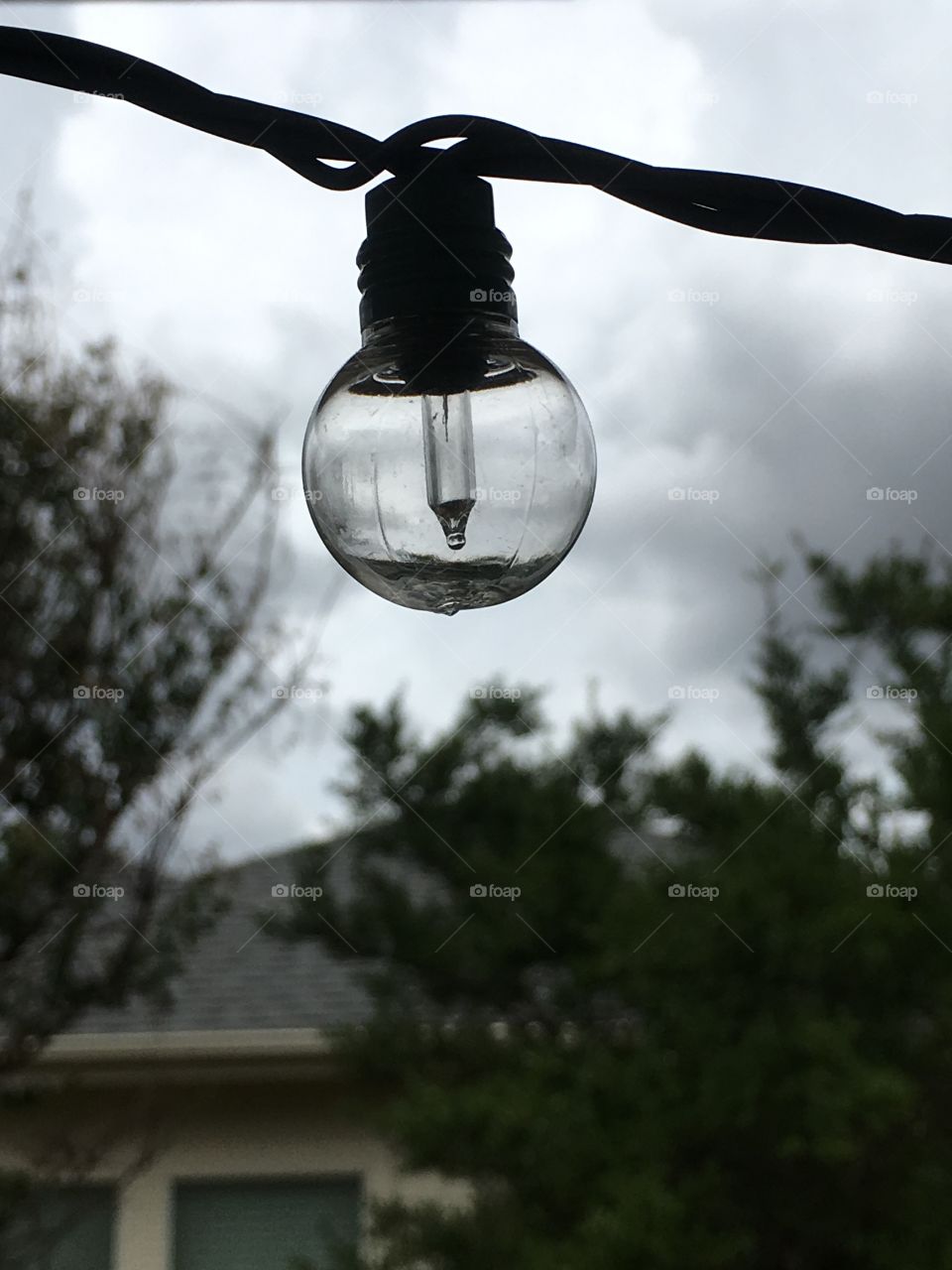 Lit light bulb 