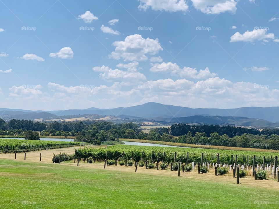 Yarra glen 