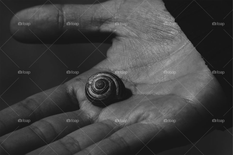 This is a terrific image I have doctored to be black and white because I really compliments the visible lines in the hand as well as this snail shell