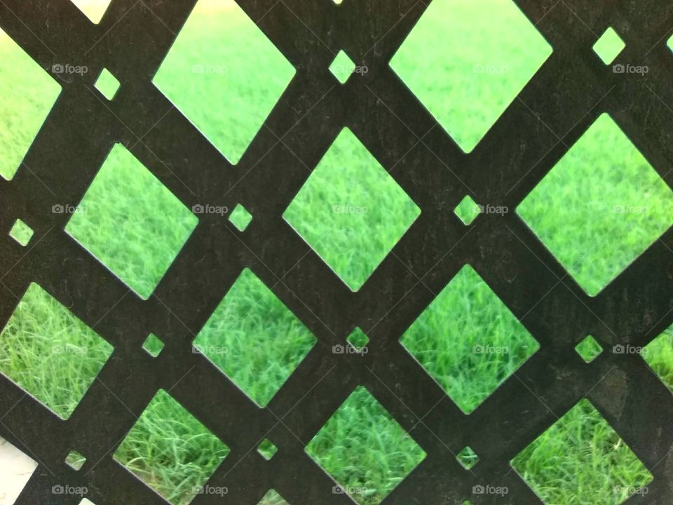 lawn through the grid