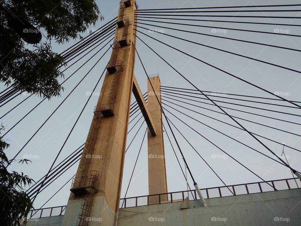 hanging bridge