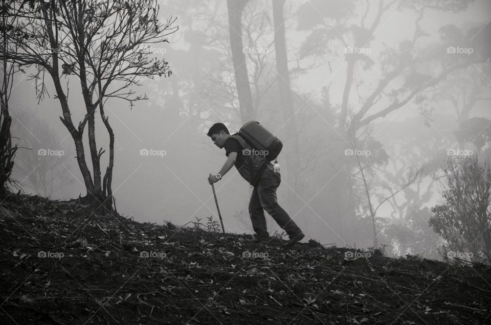 hiker in the forest