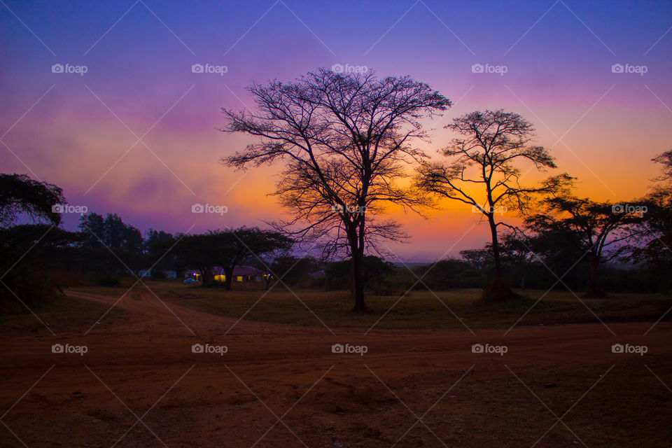 sunrise with fog in the air on the farm