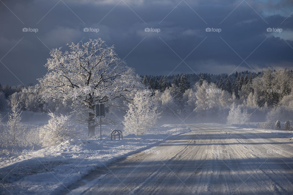 Winter road