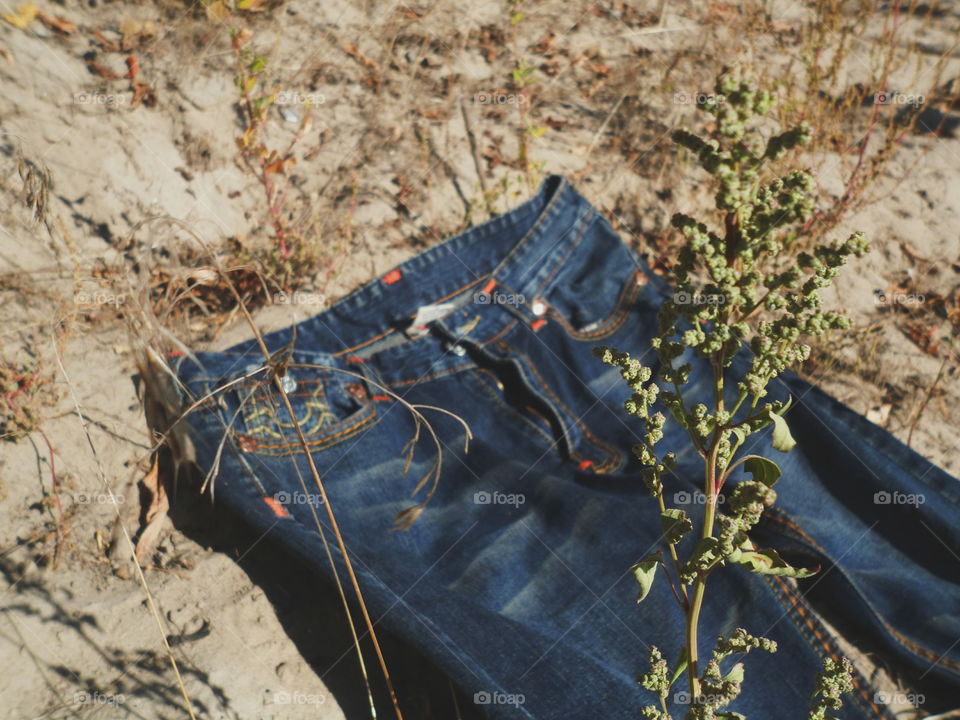 jeans lie on sand