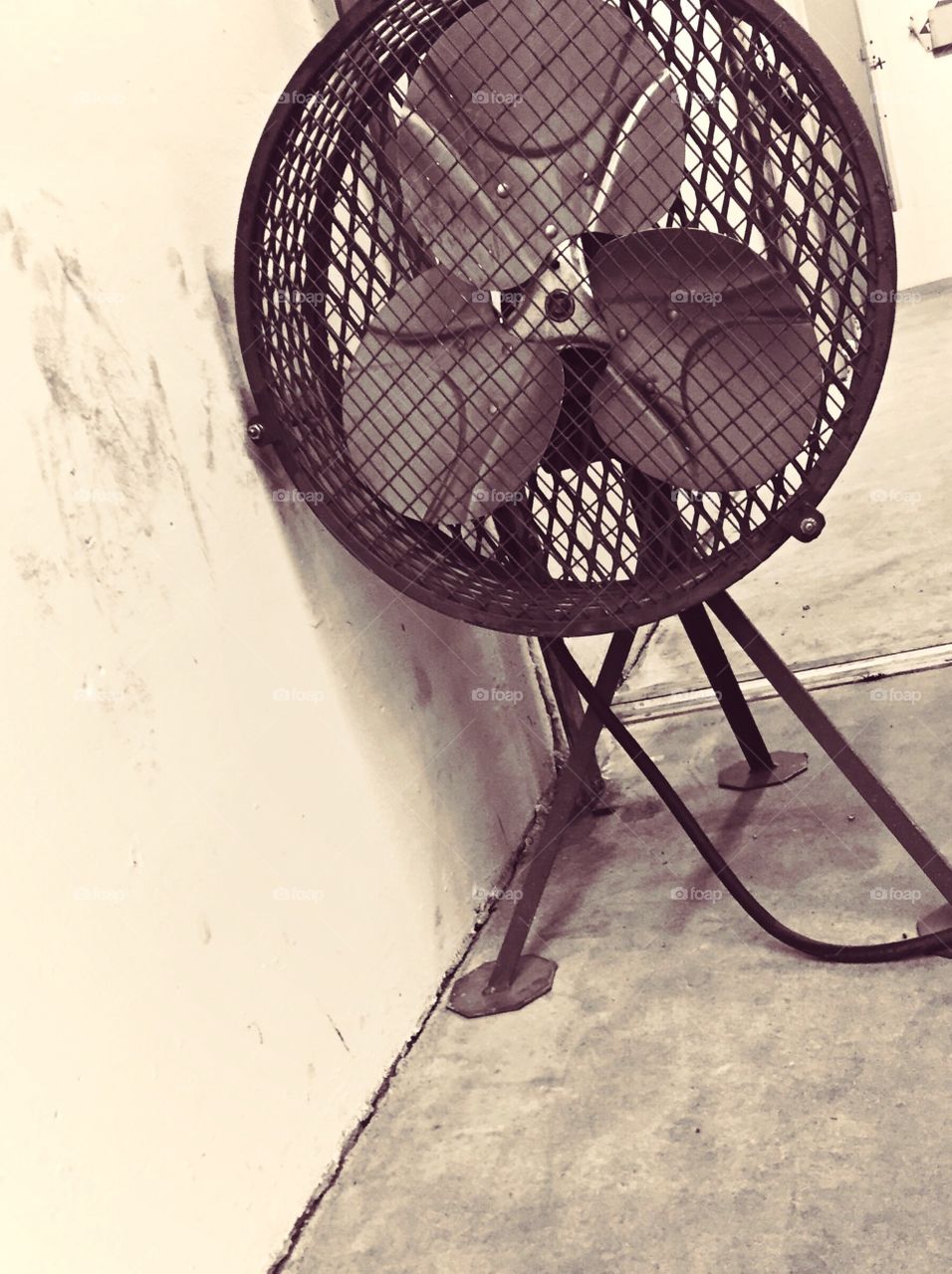 My fan.