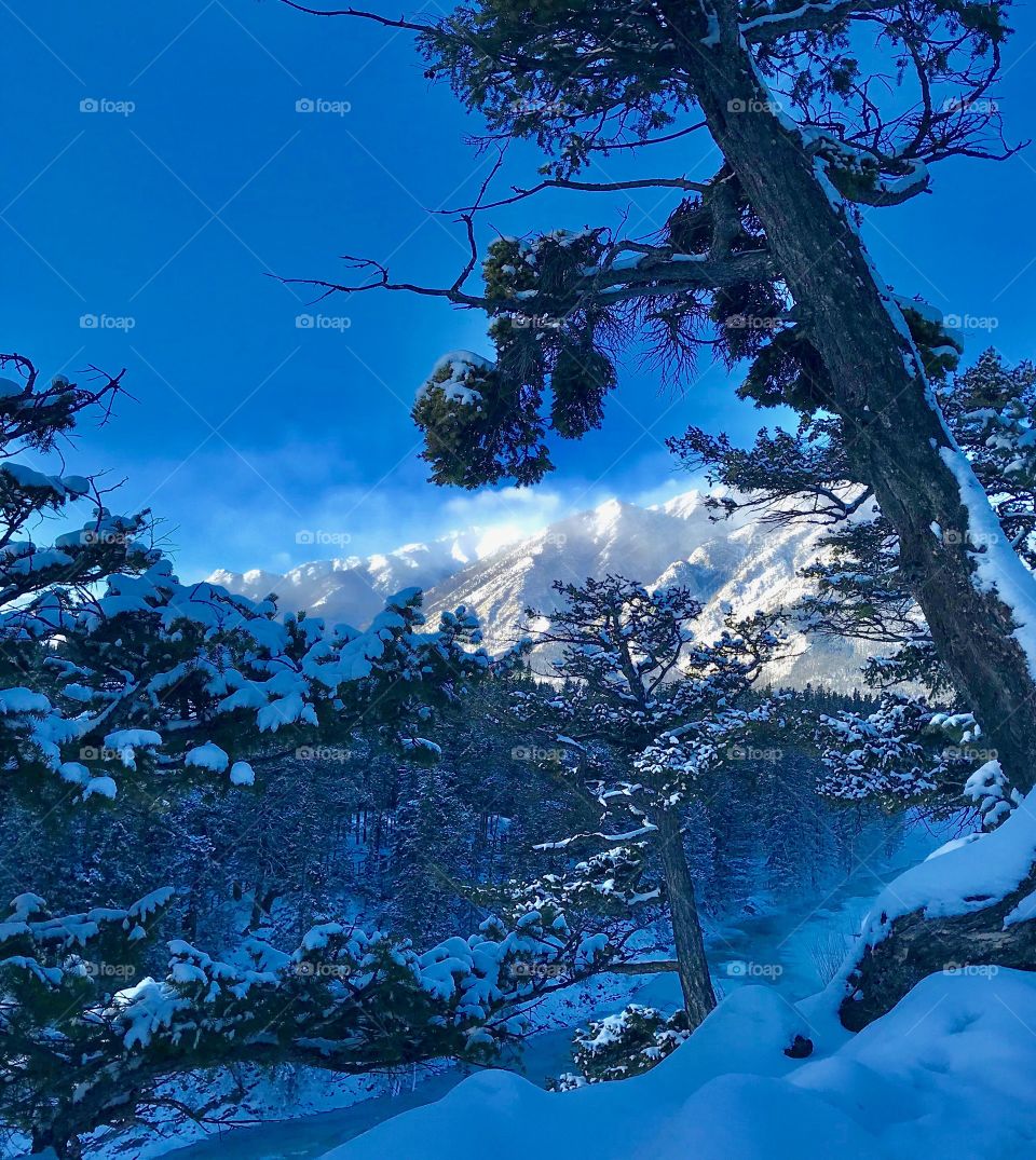 A sunny but very cold winter day in the Rocky Mountains of Alberta.