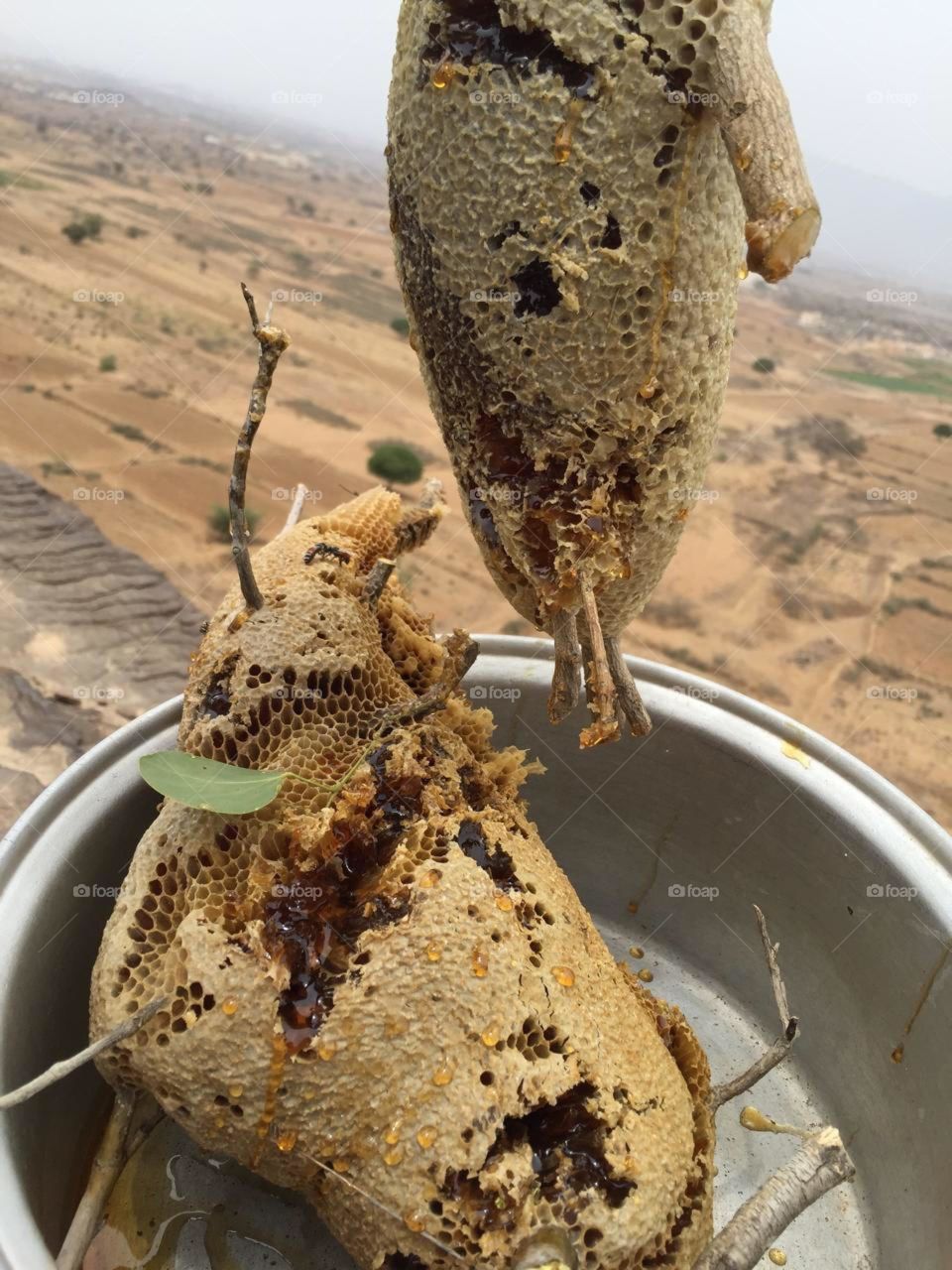 I need your support guys, I'm very, very poor, poor