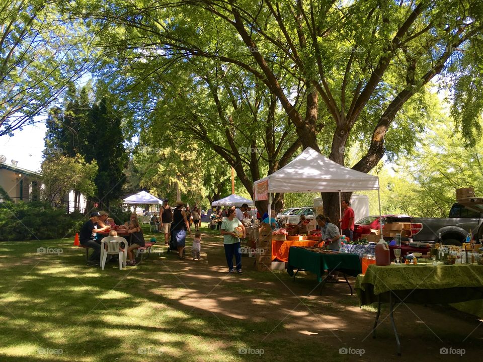 Park, People, Tree, Garden, City