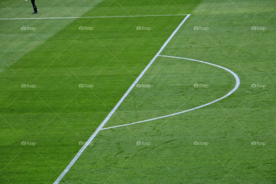 Soccer lawn with lines before the game with a goalkeeper's leg