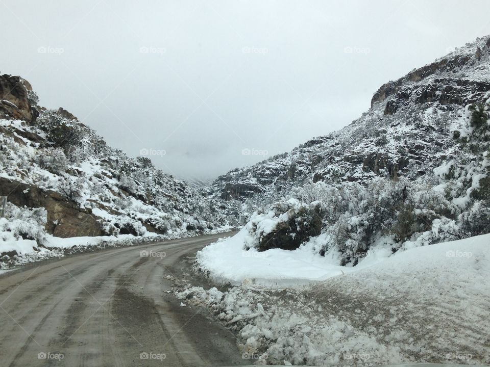 The Path. Traveled a dirt road on a snowy day and this is what I got. A very beautiful drive. 