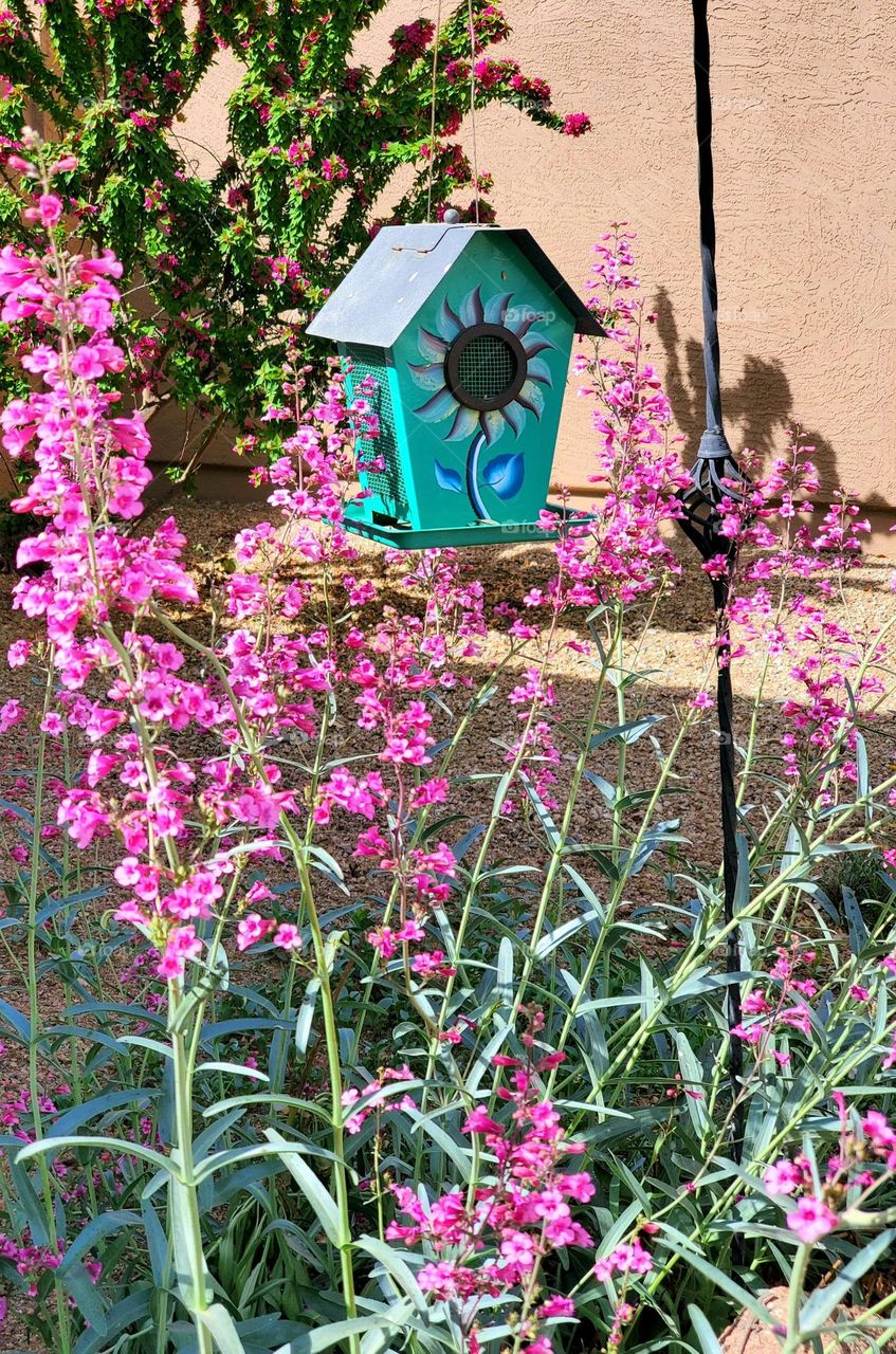 Flowers Around the Birdhouse