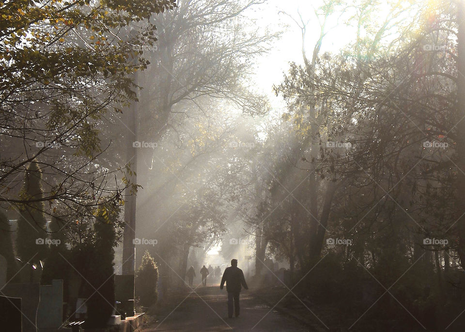 Sun rays over the trees in the park and people silhouettes