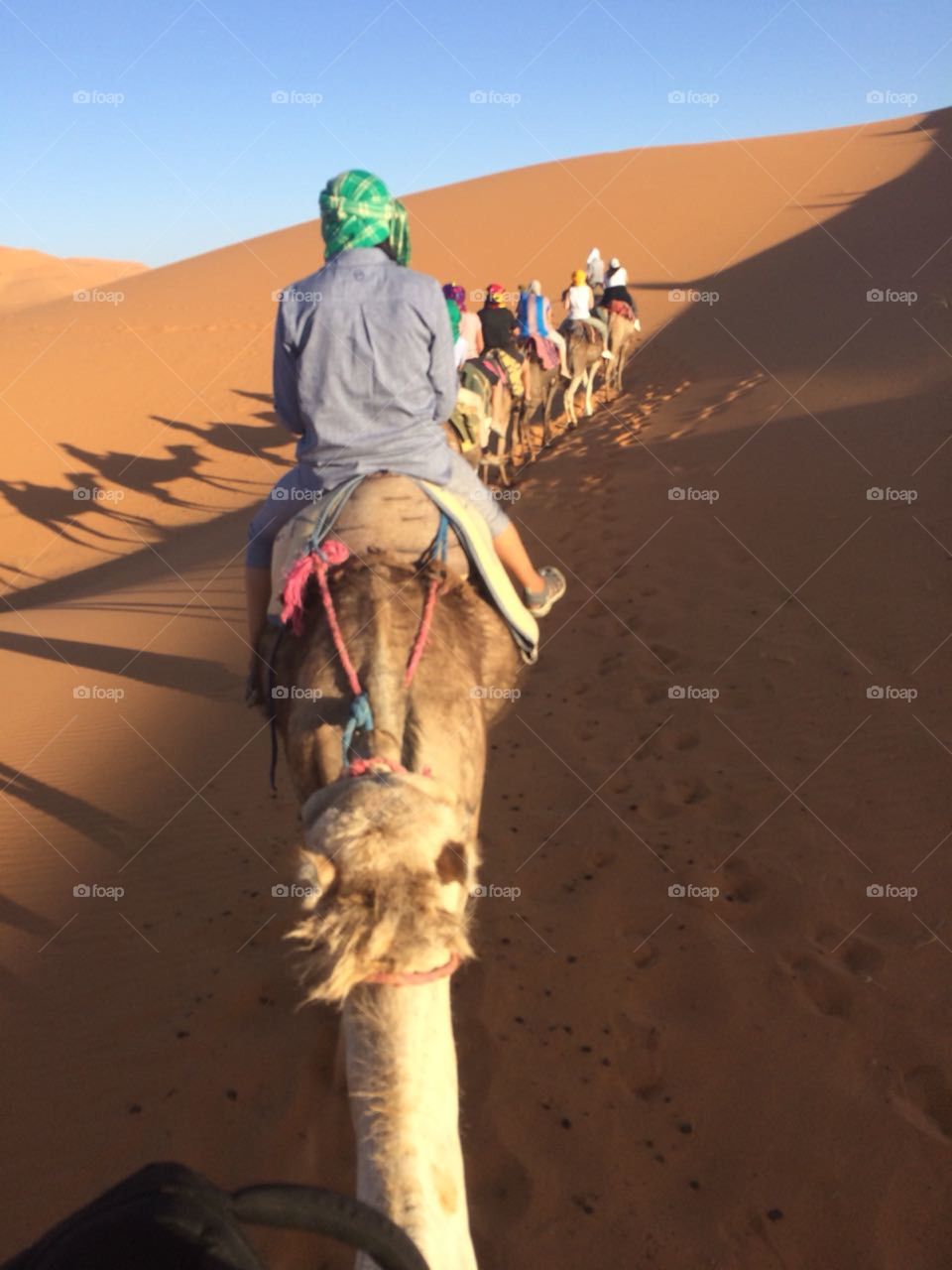 Camel Trek in the Sahara 
