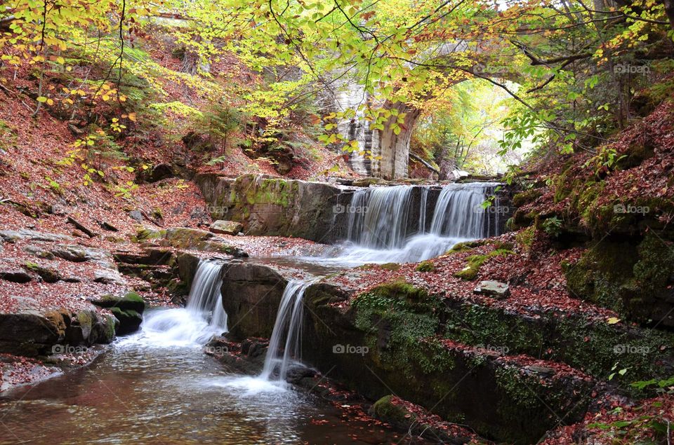 Autumn Landscape