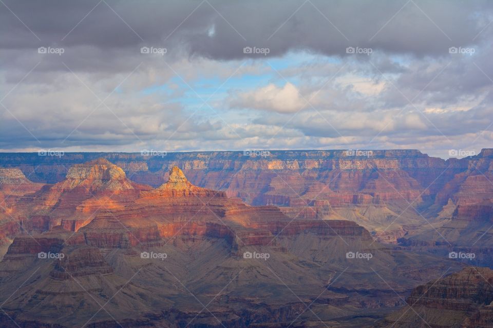 Golden light in the grand canyon