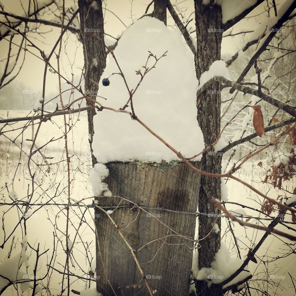 snow on post. snow on a fence post wv 