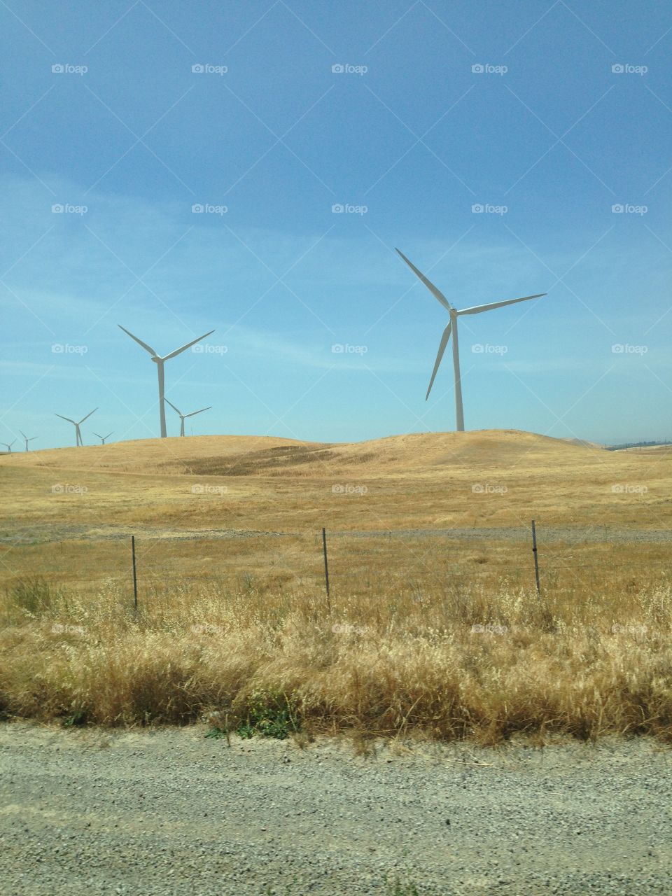 Wind mill. Grass