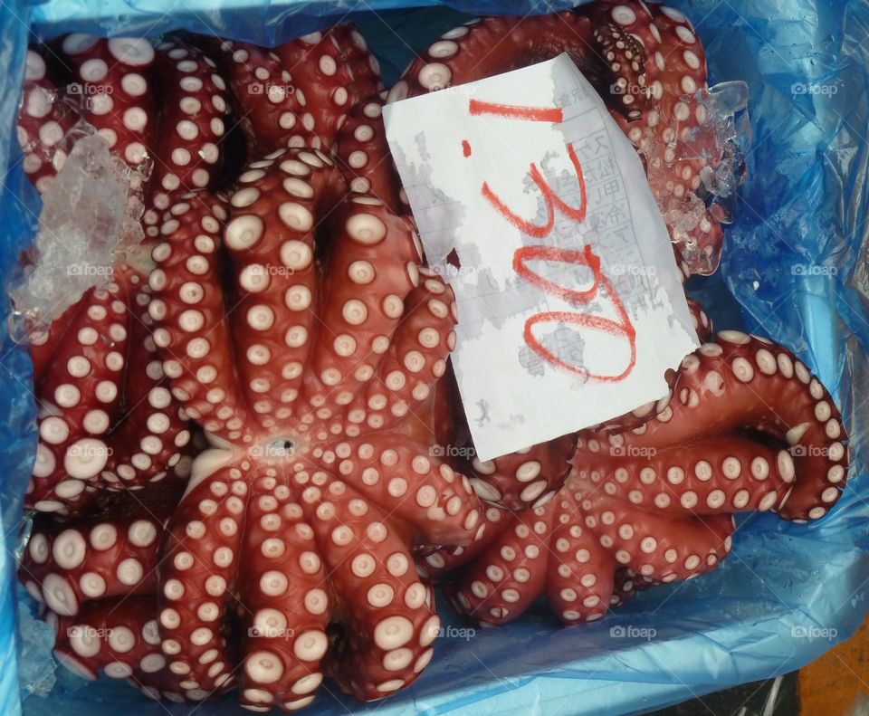 octopus on fish market in Tokyo