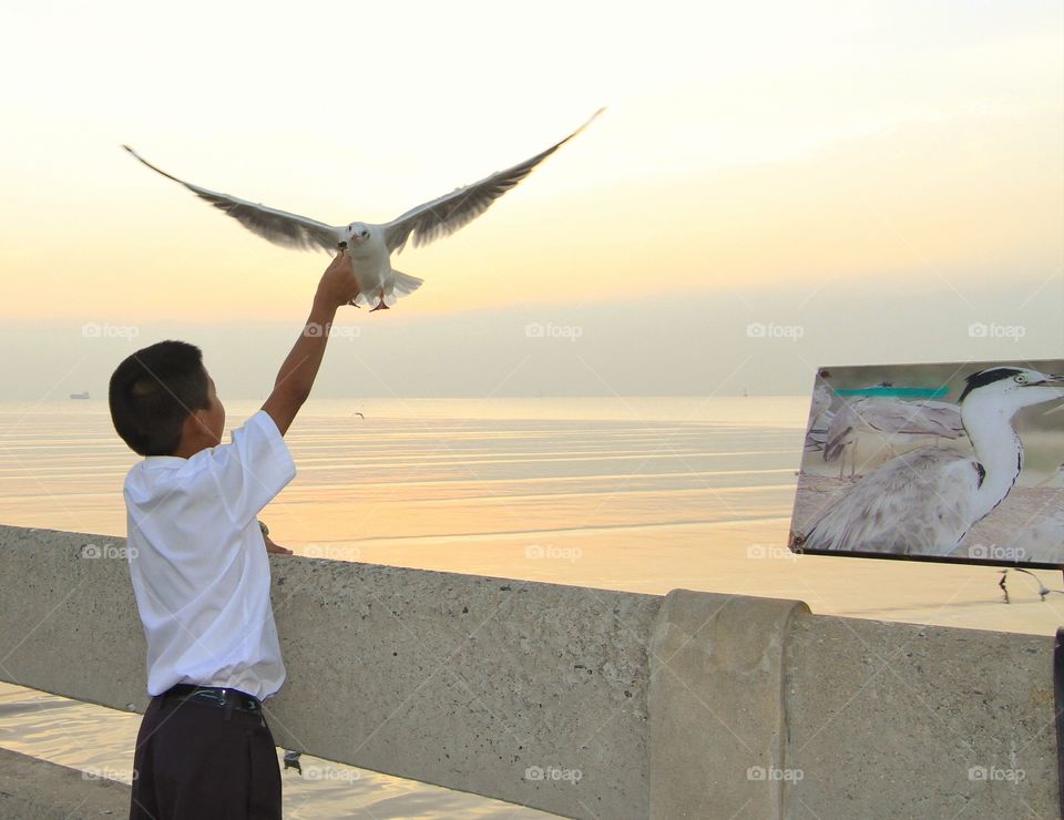 boy feeding seagull 