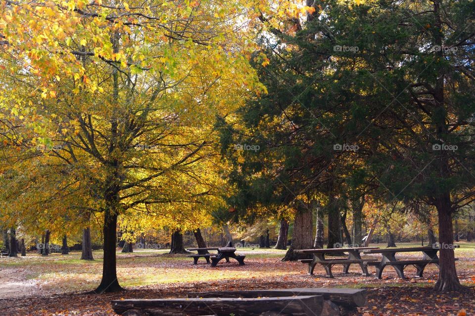 Autumn Park